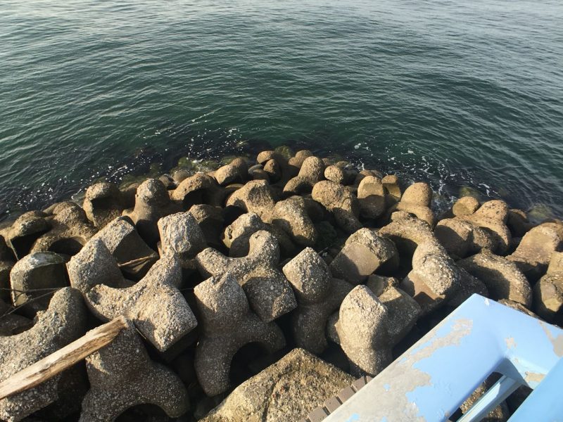 袖ヶ浦海浜公園の釣り場