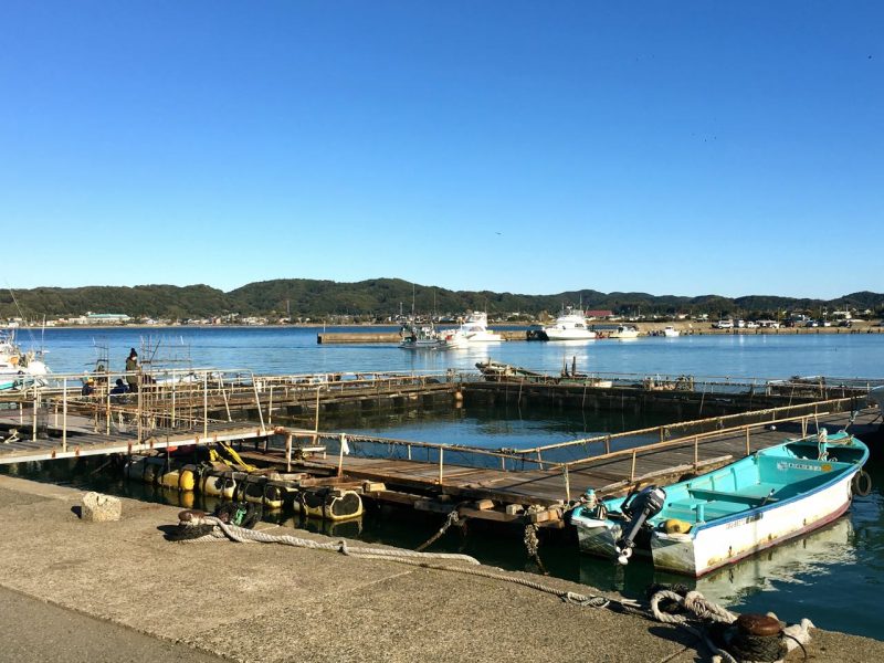 富浦新港の釣り場