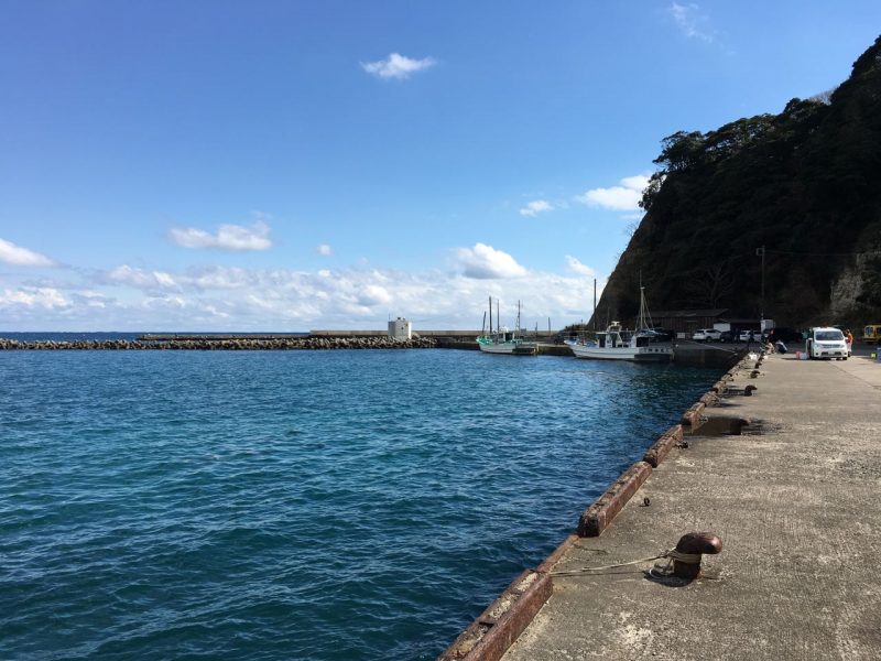 興津港 おきつこう の釣り場 初心者も子供連れも安心 千葉県のおすすめ海釣り場ガイド